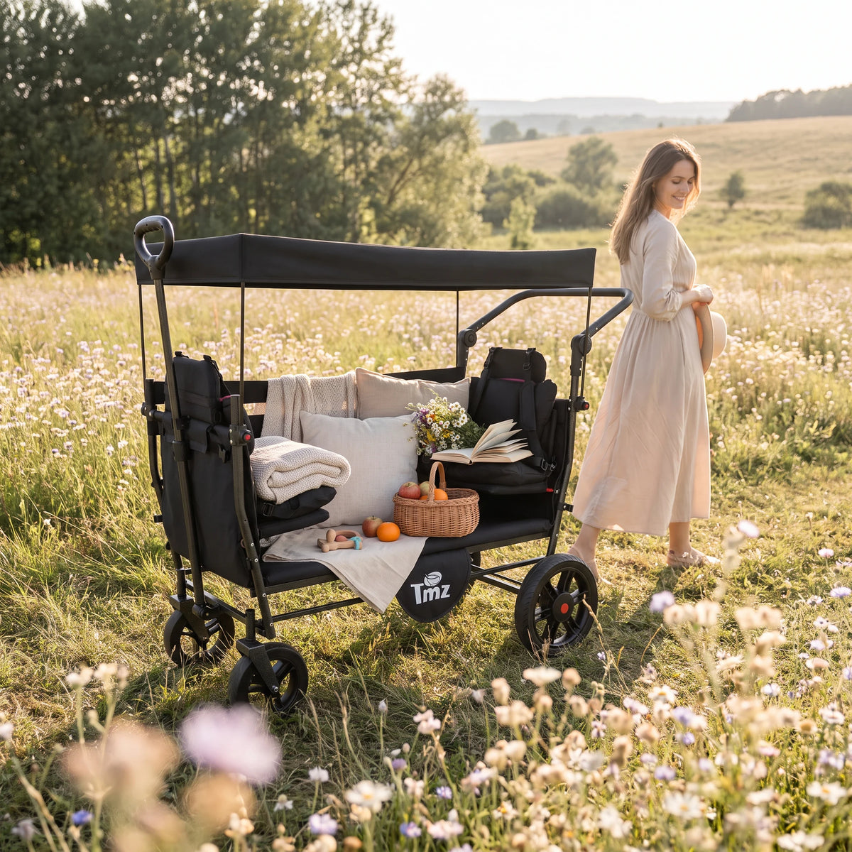 TMZ Horizon Faltbarer Bollerwagen