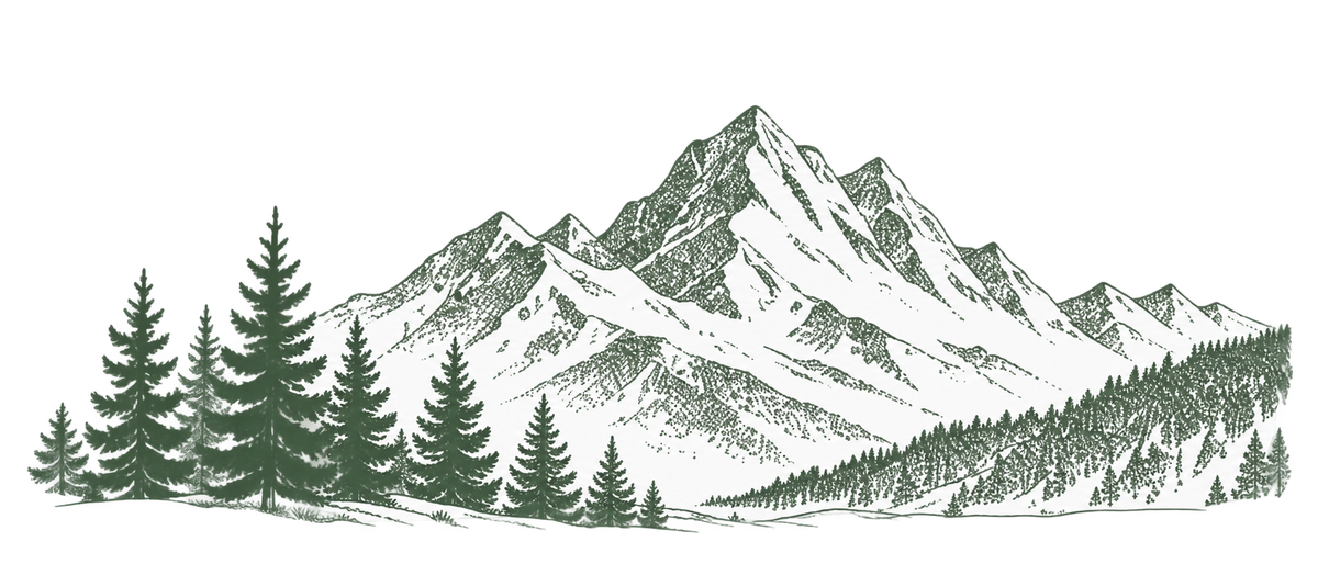 TMZ landscape artwork